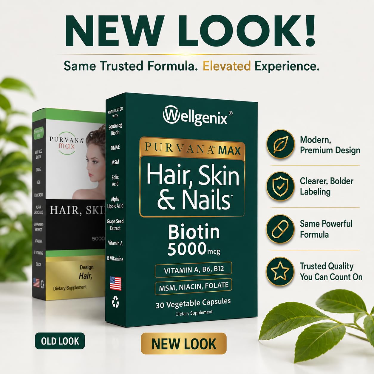 Wellgenix Purvana MAX Hair Skin & Nails Vitamins, Biotin 5000, 60 Capsules
