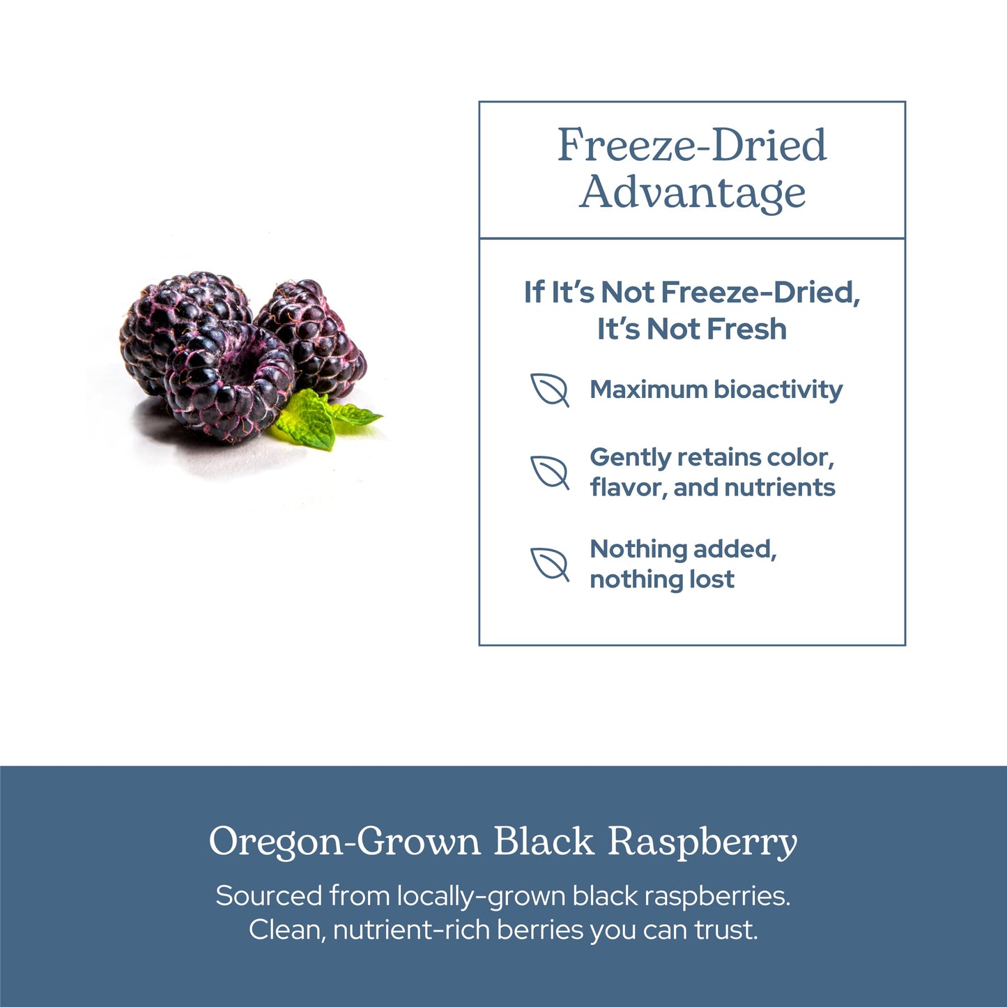 Eclectic Institute Black Raspberry Capsules (90 Count)