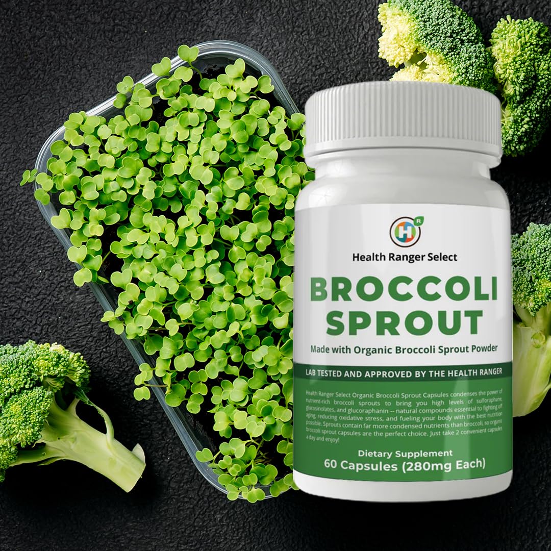 GROOVY BEE Broccoli Sprouts Capsules 60 Count