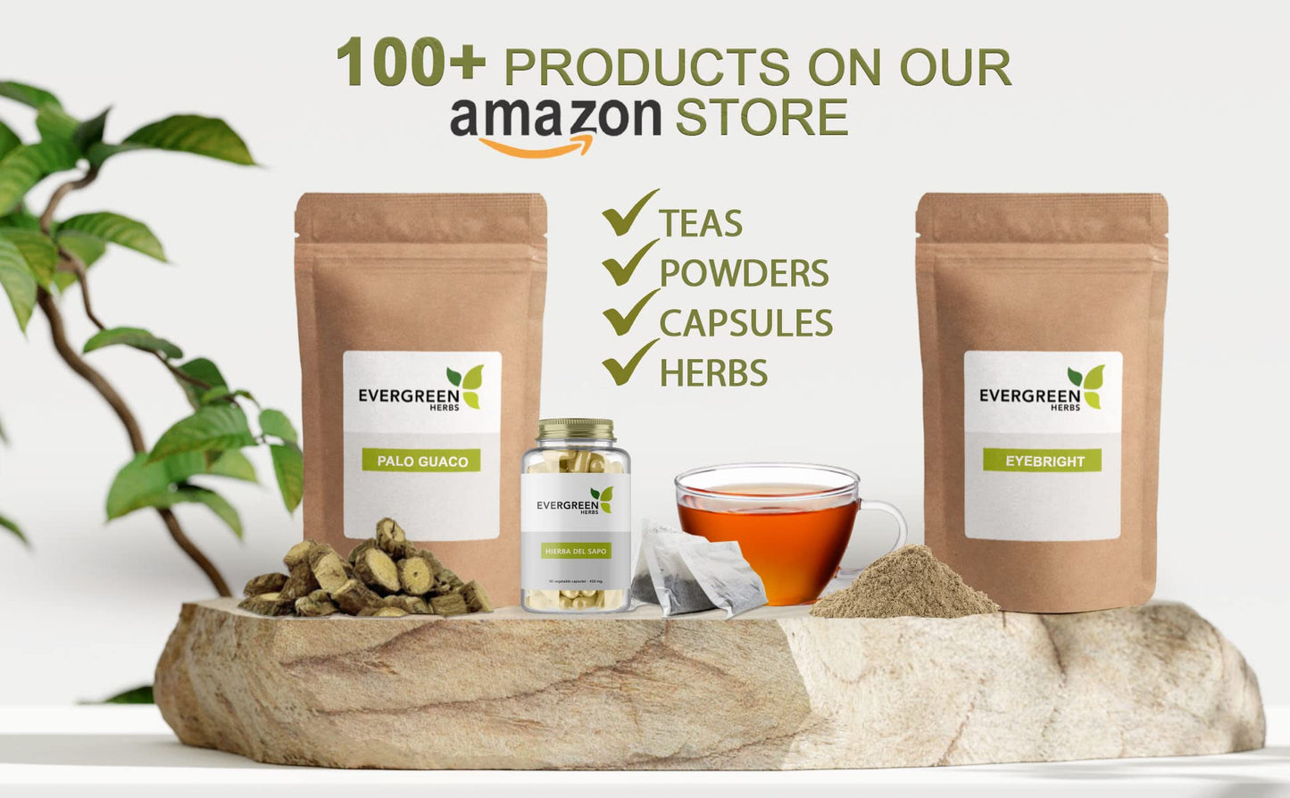 Evergreen Herbs Cinchona Capsules 90 Count