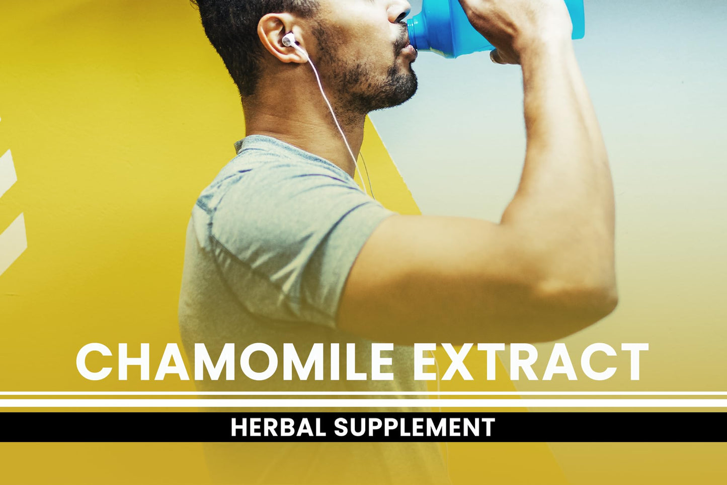 PURE ORIGINAL INGREDIENTS Chamomile Extract Capsules, 365 Count
