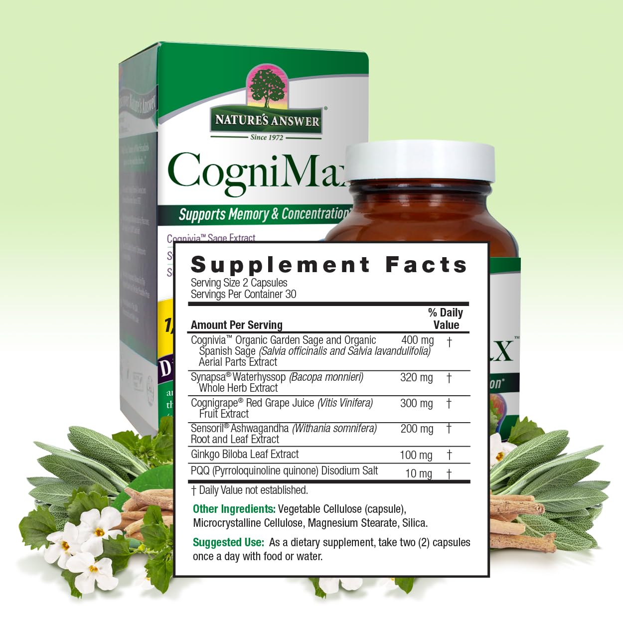 Nature's Answer CogniMax 1330mg Supplement Blend Capsules 60 Count