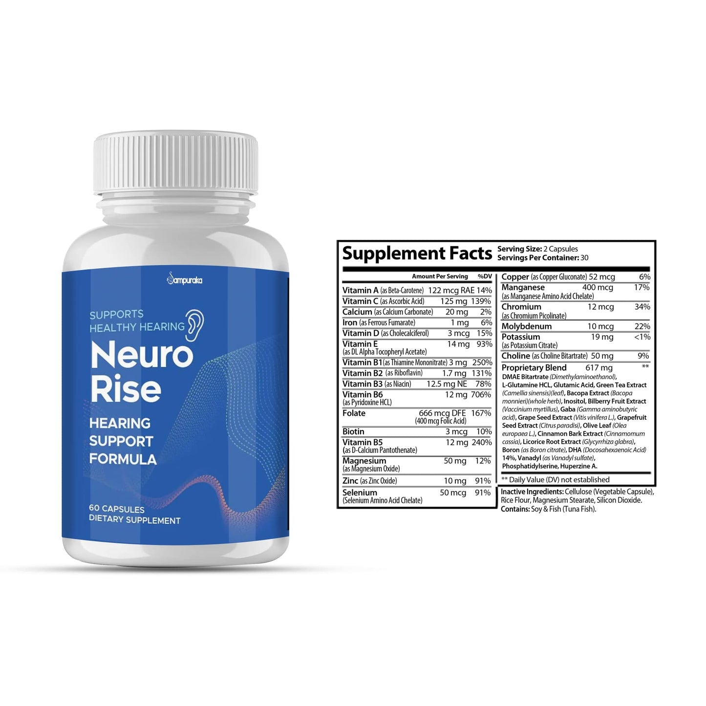 Sampuraka Neuro Rise Advance New Formula Capsules 120