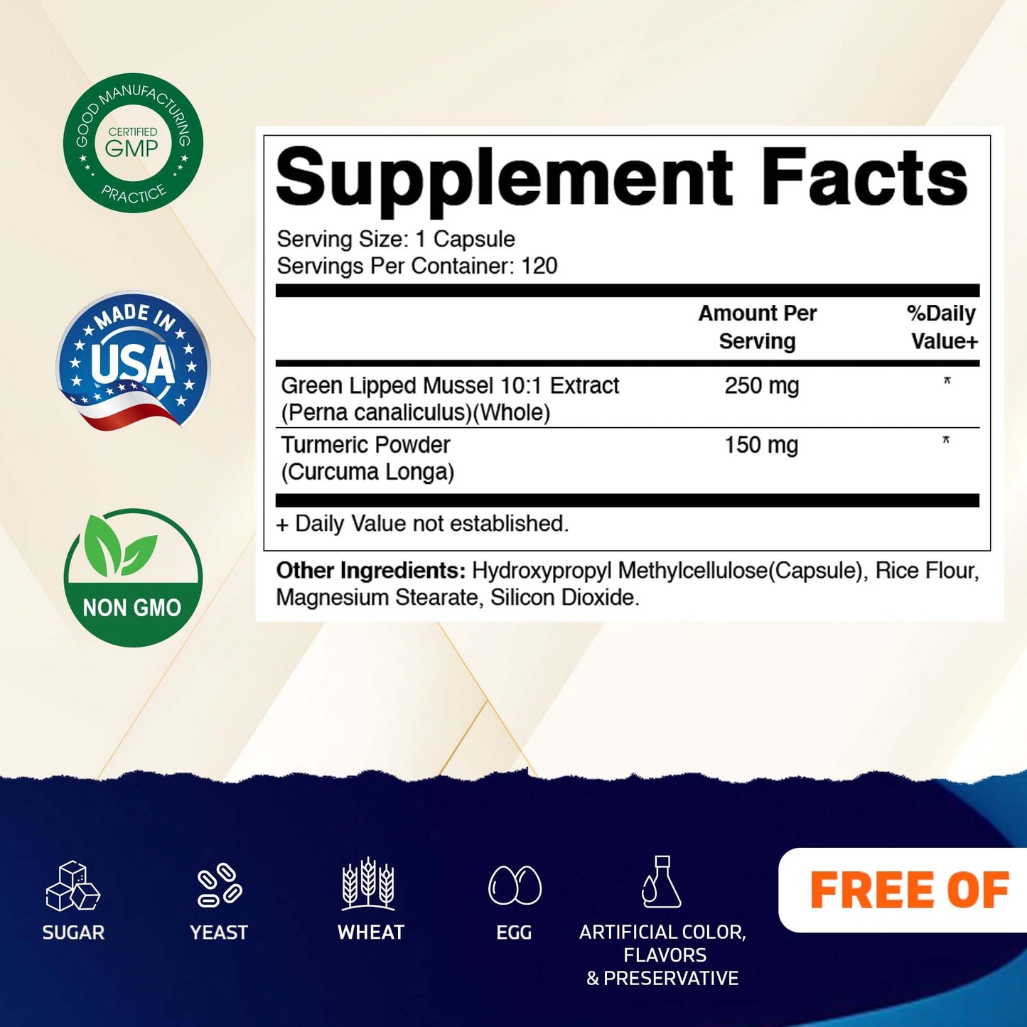 Vitamatic Green Lipped Mussel Capsules with Turmeric 120 Count