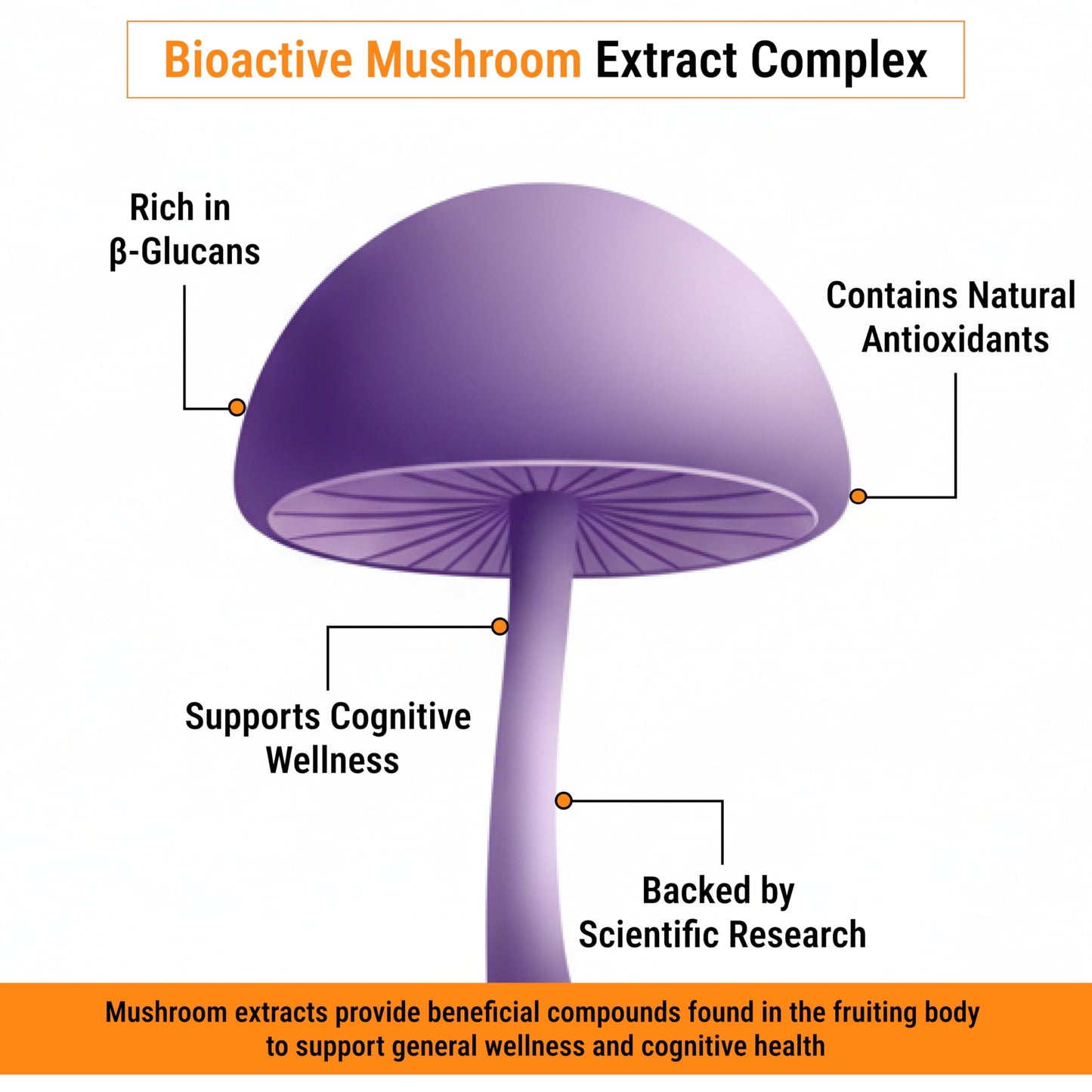 M NUTRITION Memory Mushroom + with Phosphatidylserine, Lions Mane, Turkey Tail, B Vitamins & Black Pepper Brain & Focus Support Supplement, 60 Capsules