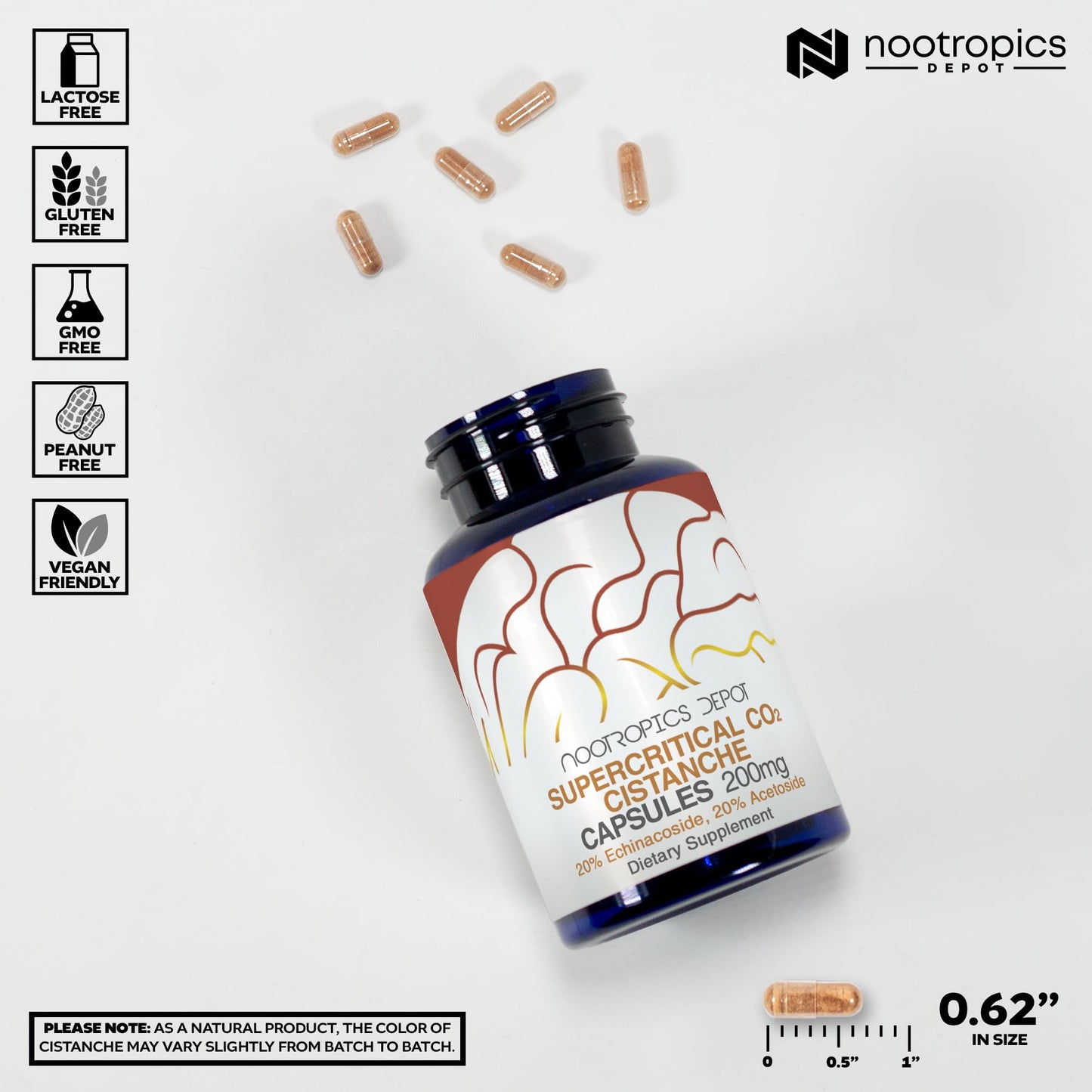 Nootropics Depot Cistanche Supercritical CO2 Extract Capsules, 60 Capsules