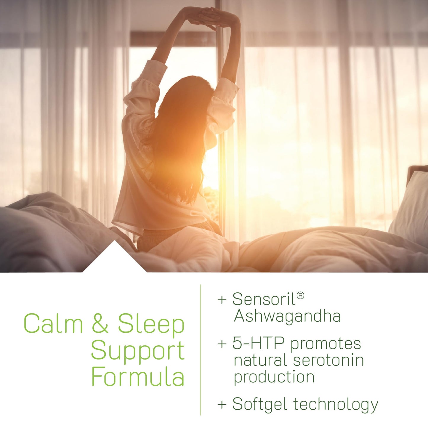 Irwin Naturals Power to Sleep PM Melatonin-Free GABA Softgels 100
