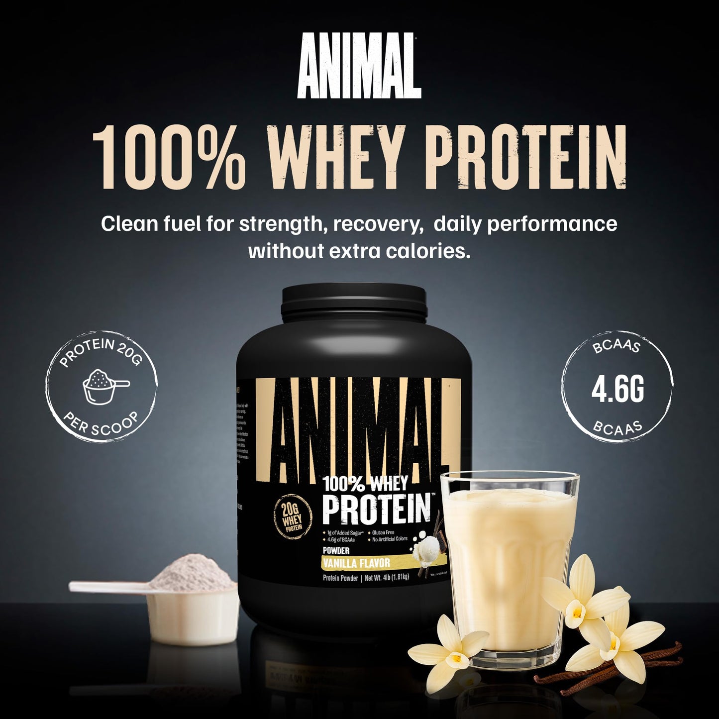 Animal 100% Whey Protein Powder Vanilla 64.1