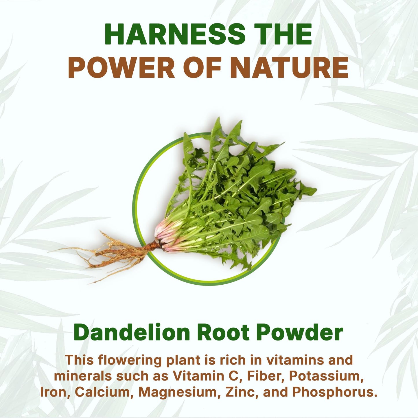 Go Nutra Dandelion Root Powder for Tea, Coffee & Beverages, 8 oz
