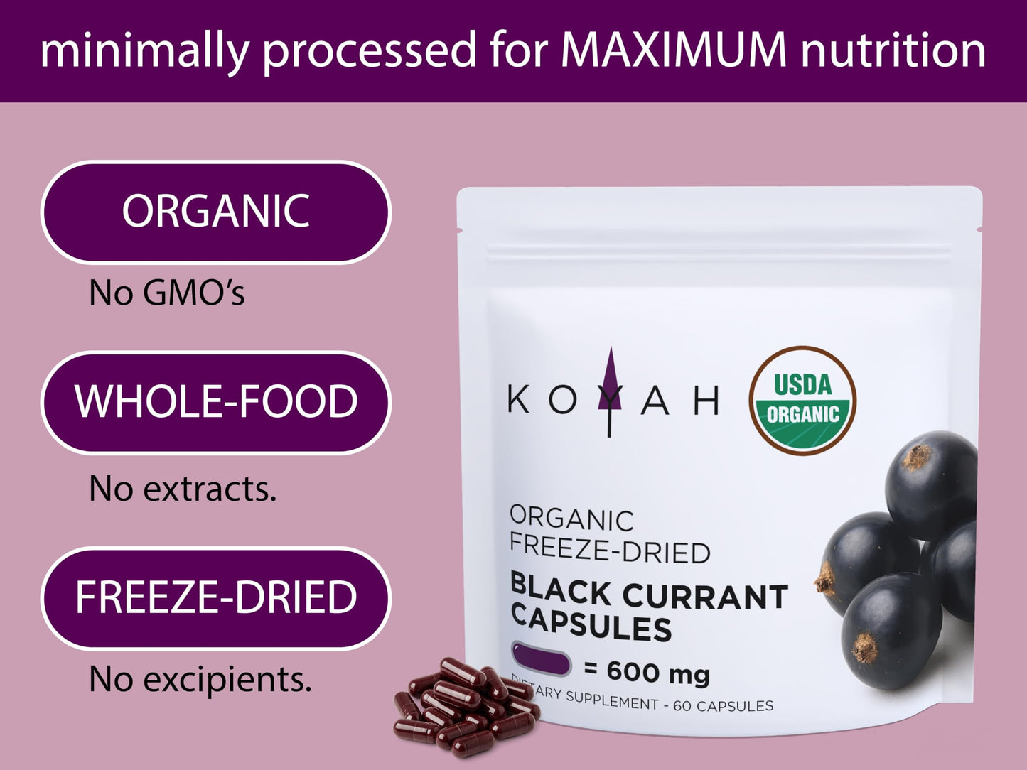 KOYAH Organic Black Currant Capsules, 600 mg per Capsule, 60 Capsules