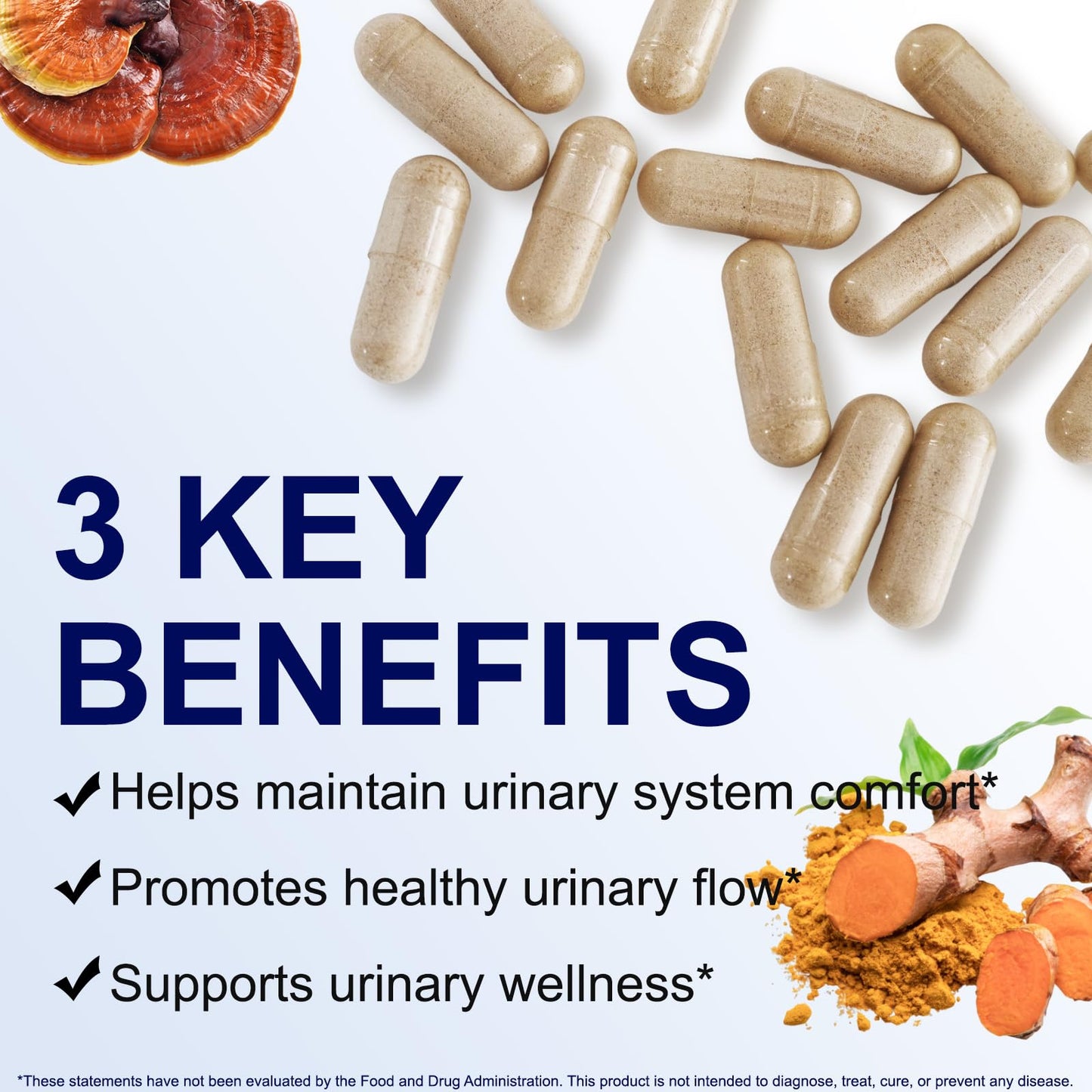 Pegciz Prostate Health Supplement for Men Capsules 90 Count