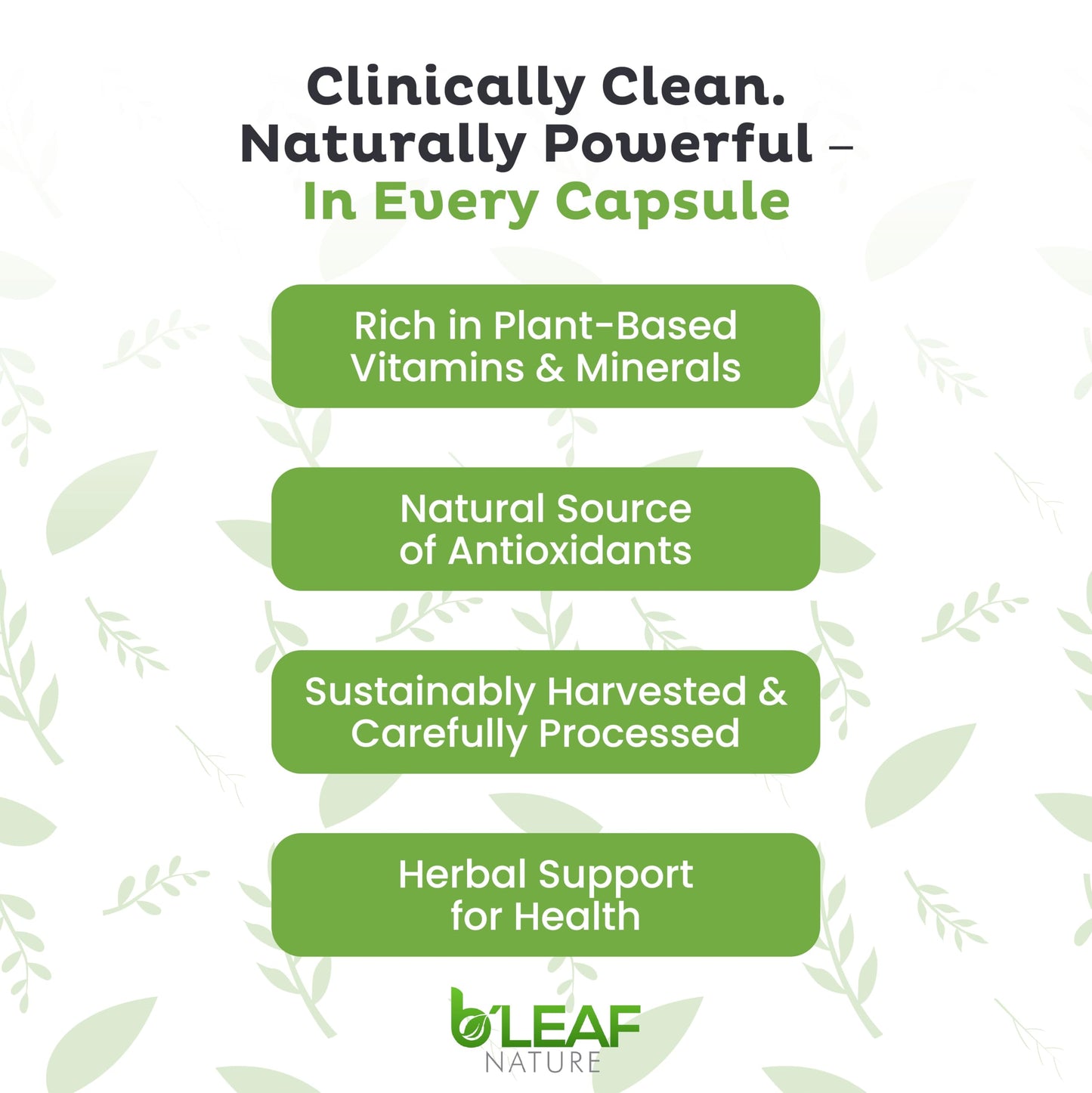 B'LEAF NATURE Moringa and Quercetin Bundle Capsules 210