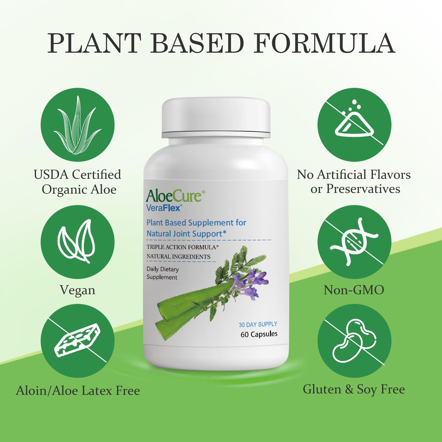 AloeCure VeraFlex Natural Joint Support Capsules, 6 Bottles
