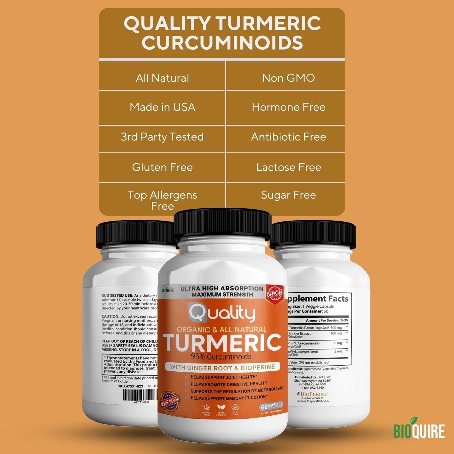 BIOQUIRE Organic Turmeric Capsules with Ginger Root and BioPerine, 95% Curcuminoids, 500mg, 60 Capsules