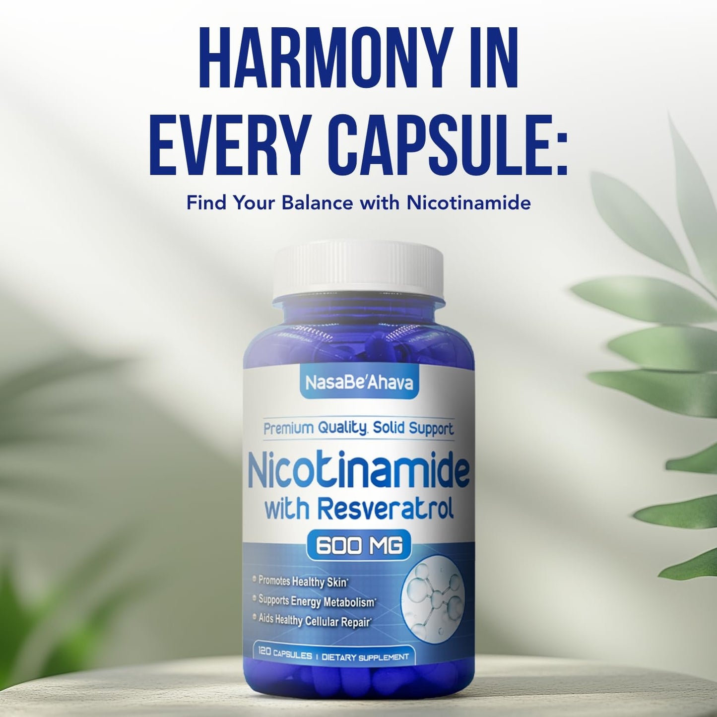 NasaBeahava Resveratrol with Vitamin B3 Nicotinamide 500mg NAD+ Precursor and Longevity Complex Capsules, 120