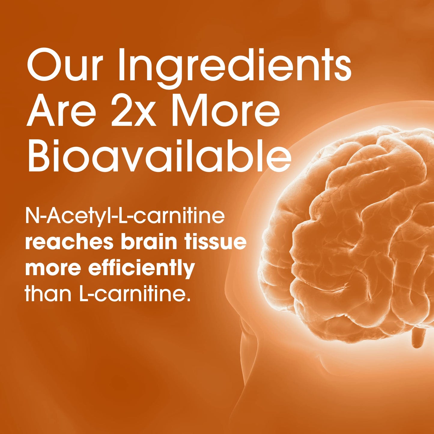 Nutrition Essentials Nootropic Brain Support Supplement Caffeine-Free Capsule 60 Count