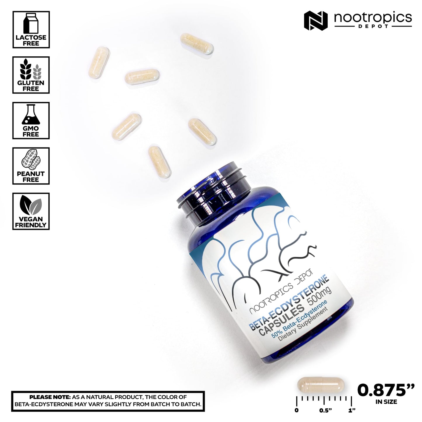 Nootropics Depot Beta Ecdysterone/20-Hydroxyecdysone 50% Capsules, 500mg, 30 Count