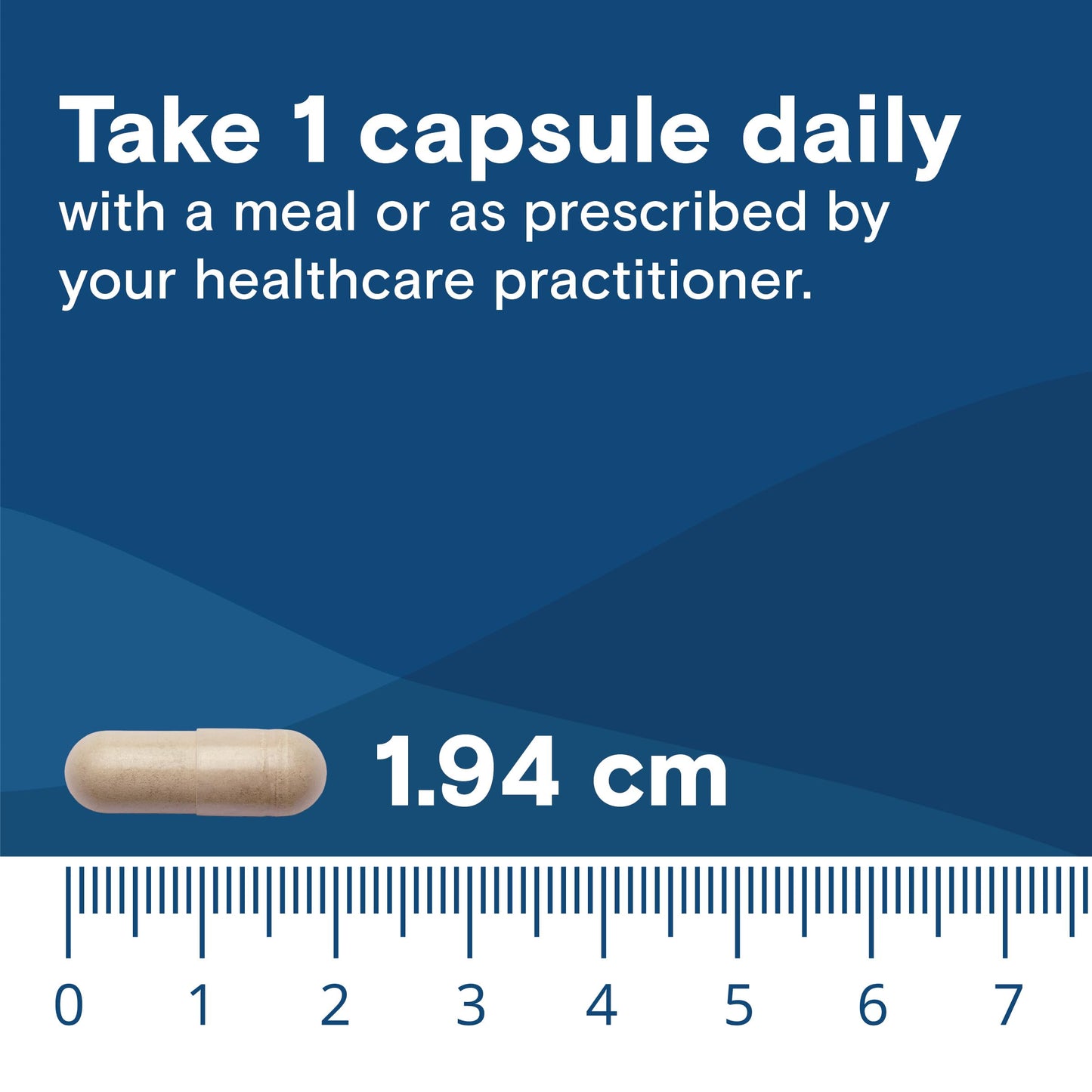 Bariatric Fusion Digestive Enzymes with Probiotics 60 Capsules