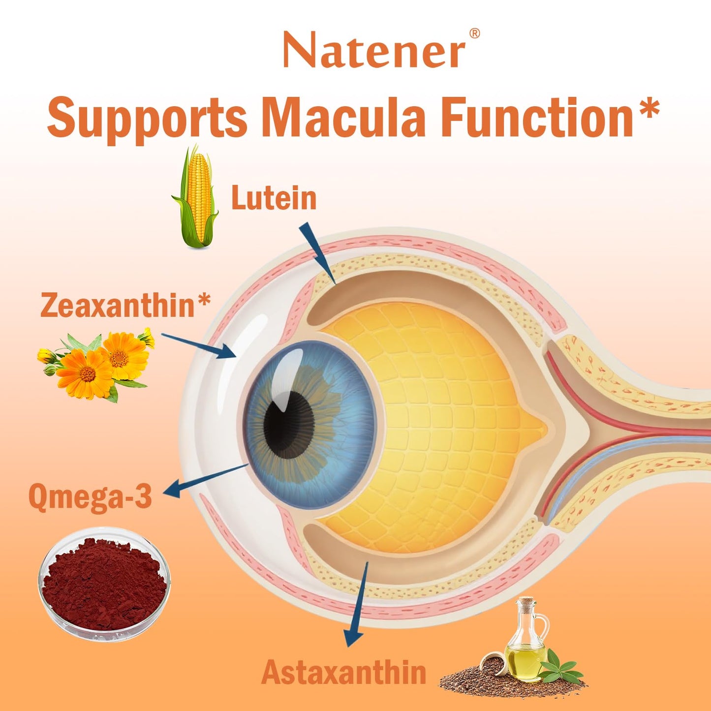 Natener 14 in 1 Eye Vitamins Softgels, 60 Softgels