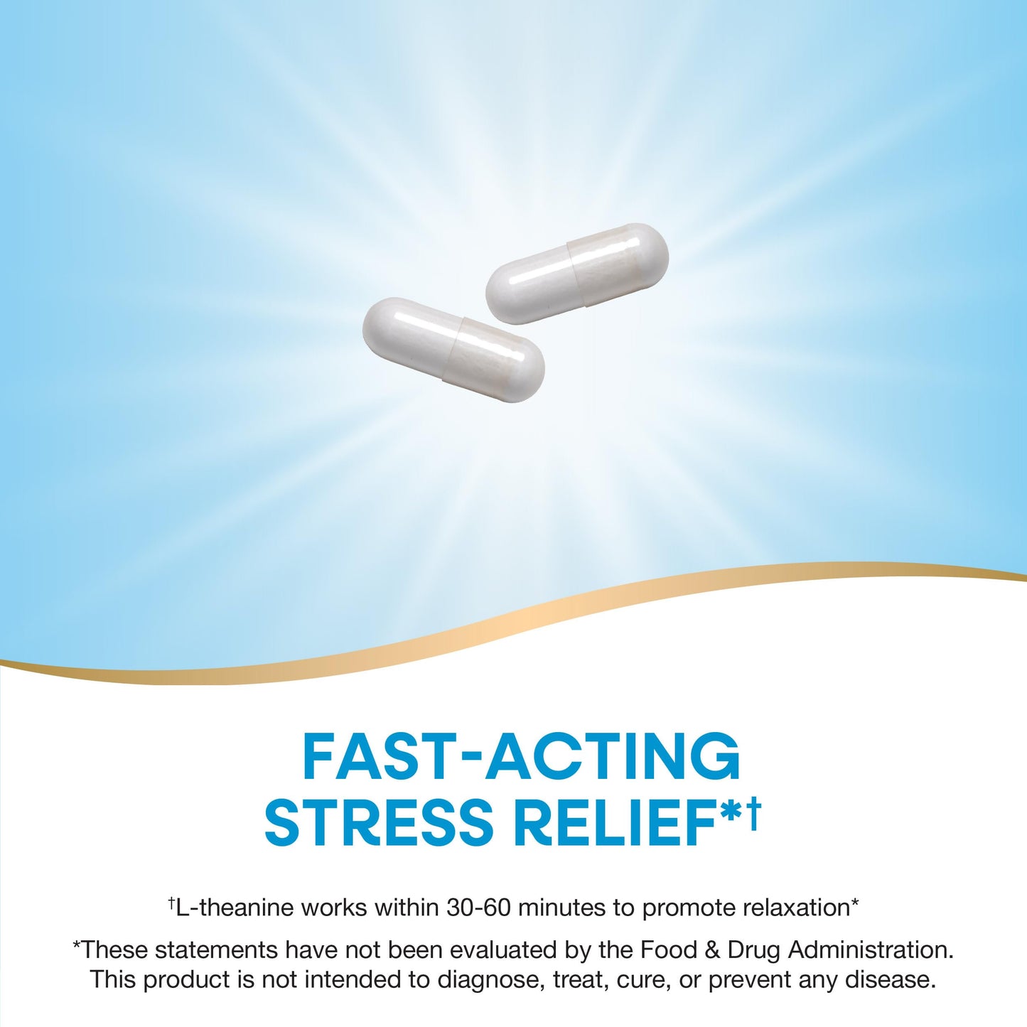 Nature's Way L-Theanine Capsule 60 Count