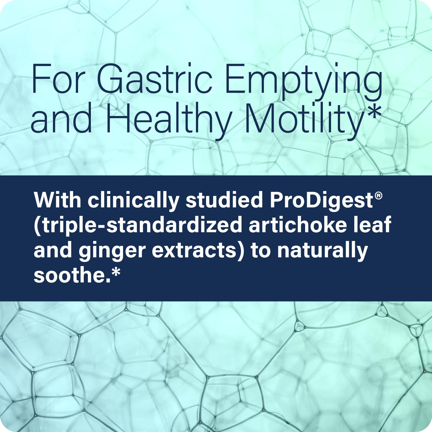 Enzyme Science GI Motility Complex Apple Cider Vinegar Capsules with Artichoke & Ginger, Digestive Health Support for Adults, 60 Capsules