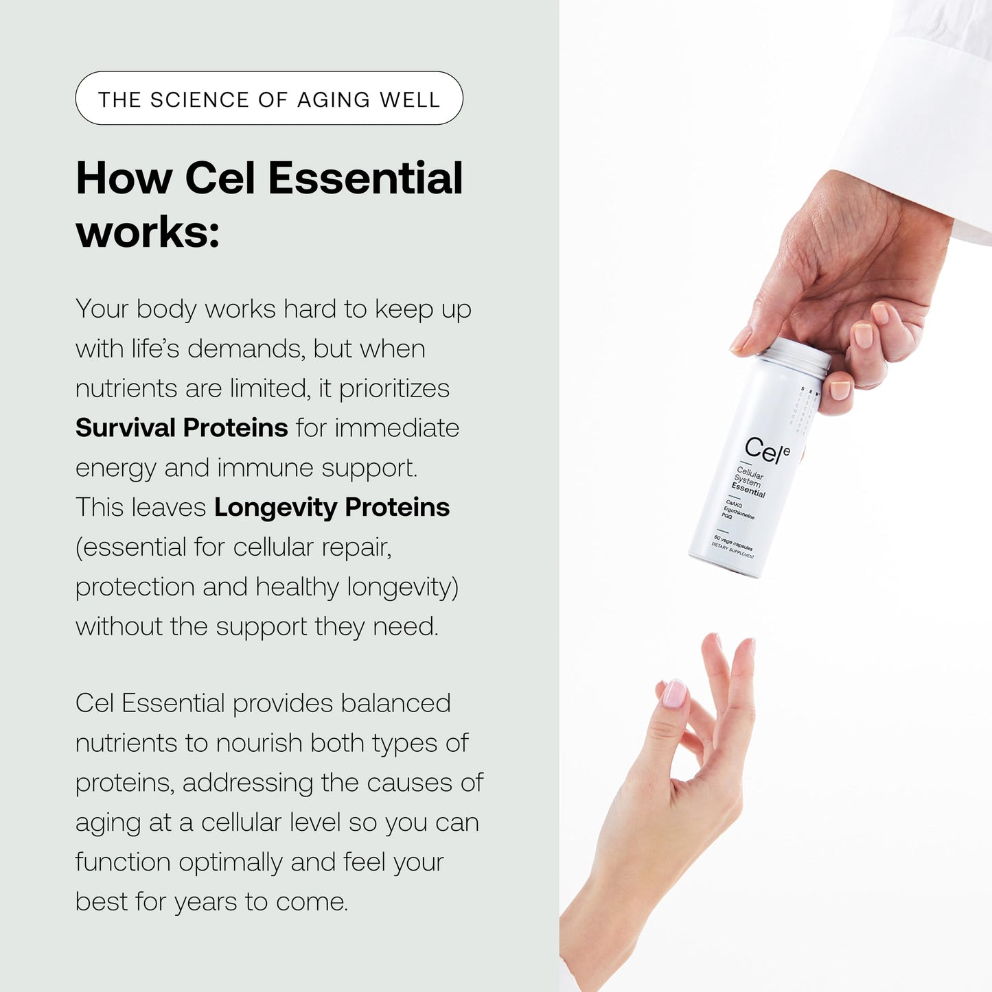 SRW Cel Essential Capsules 60 Count