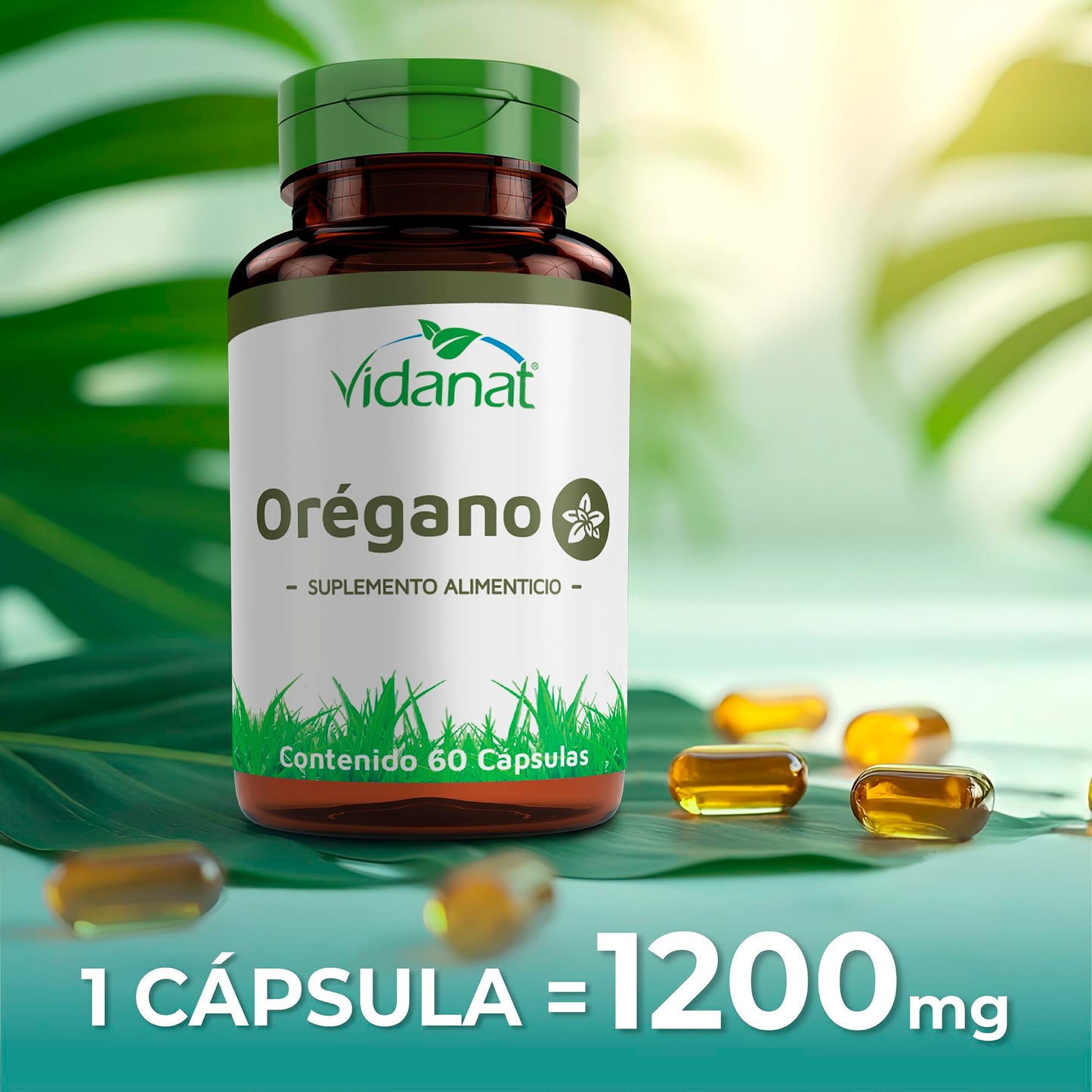 Vidanat Oregano Supplement 108 Capsules