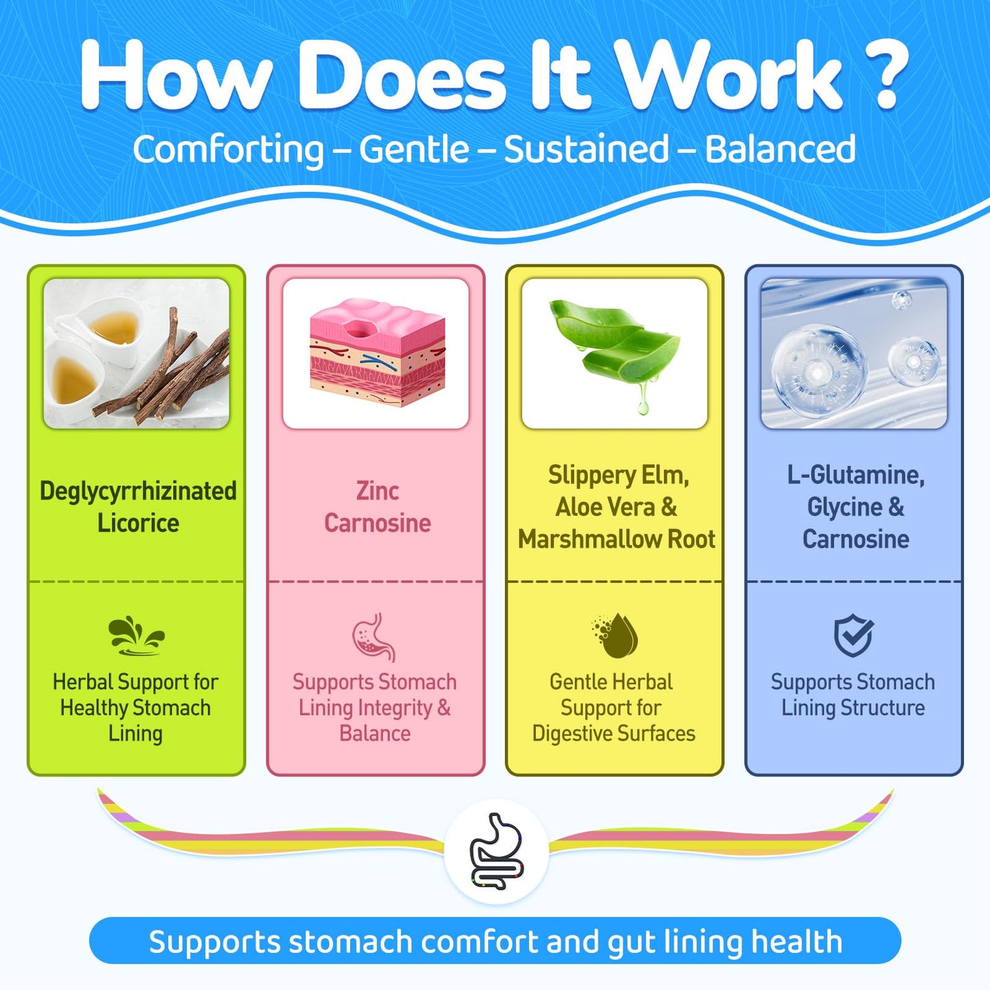 NATISLAND DGL & Zinc Carnosine Gummies Daily Digestive Comfort Support Deglycyrrhizinated Licorice Extract & Gentle Gut Blend, Sugar-Free, Non-GMO, 120 Gummies