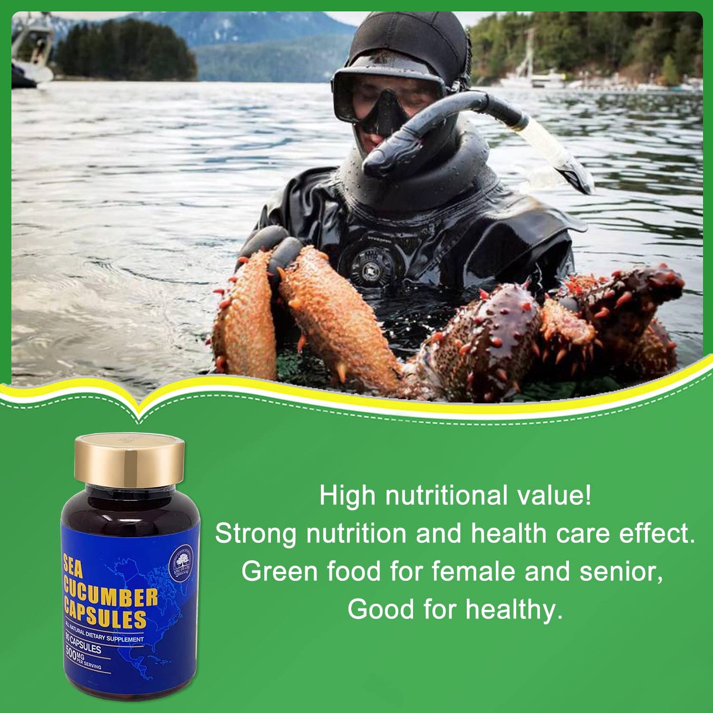 DABC OAK LAND Sea Cucumber Wild-Caught Capsule Supplement, 270 Capsules