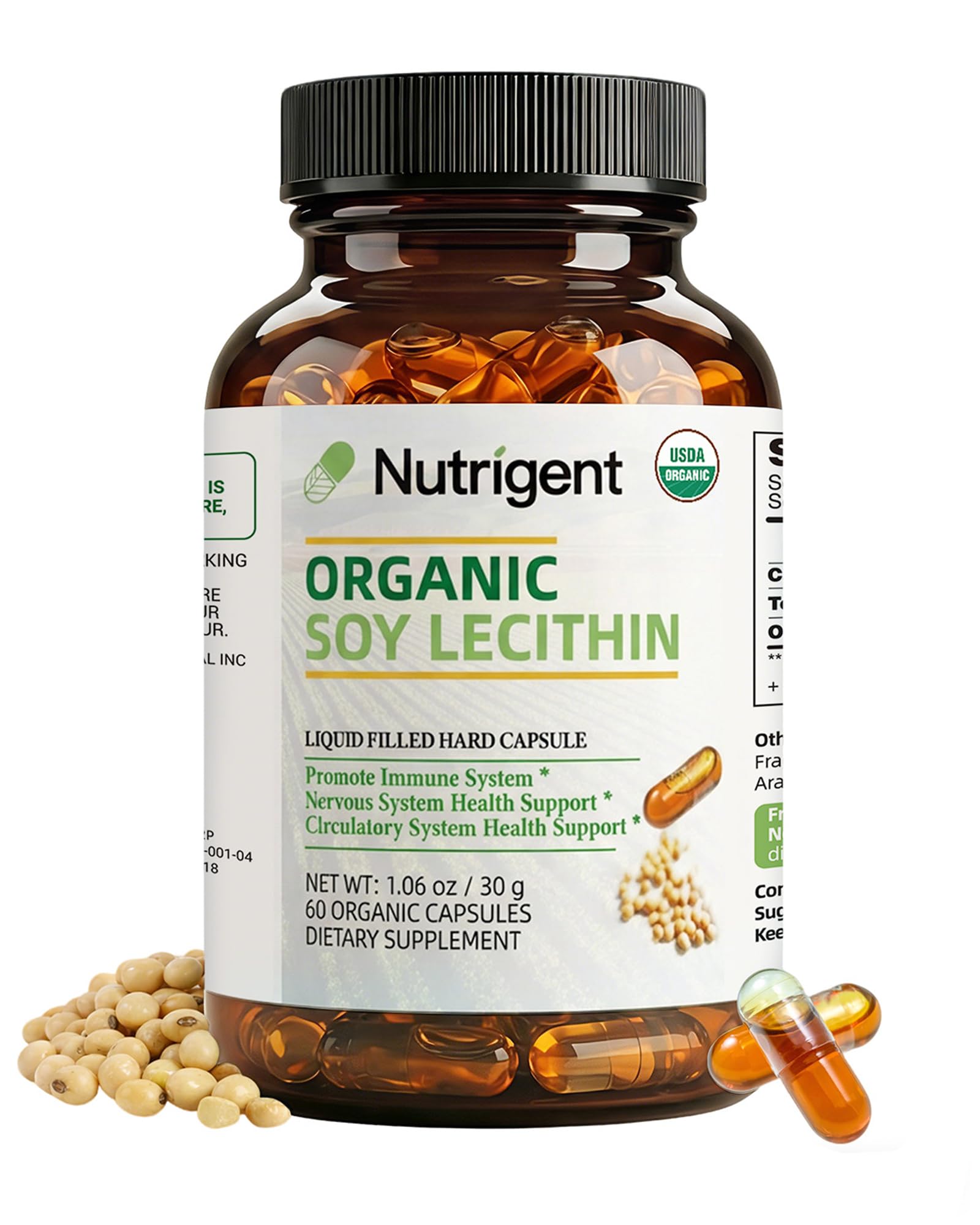 Nutrigent Soy Lecithin Supplement Capsule, 60 Count