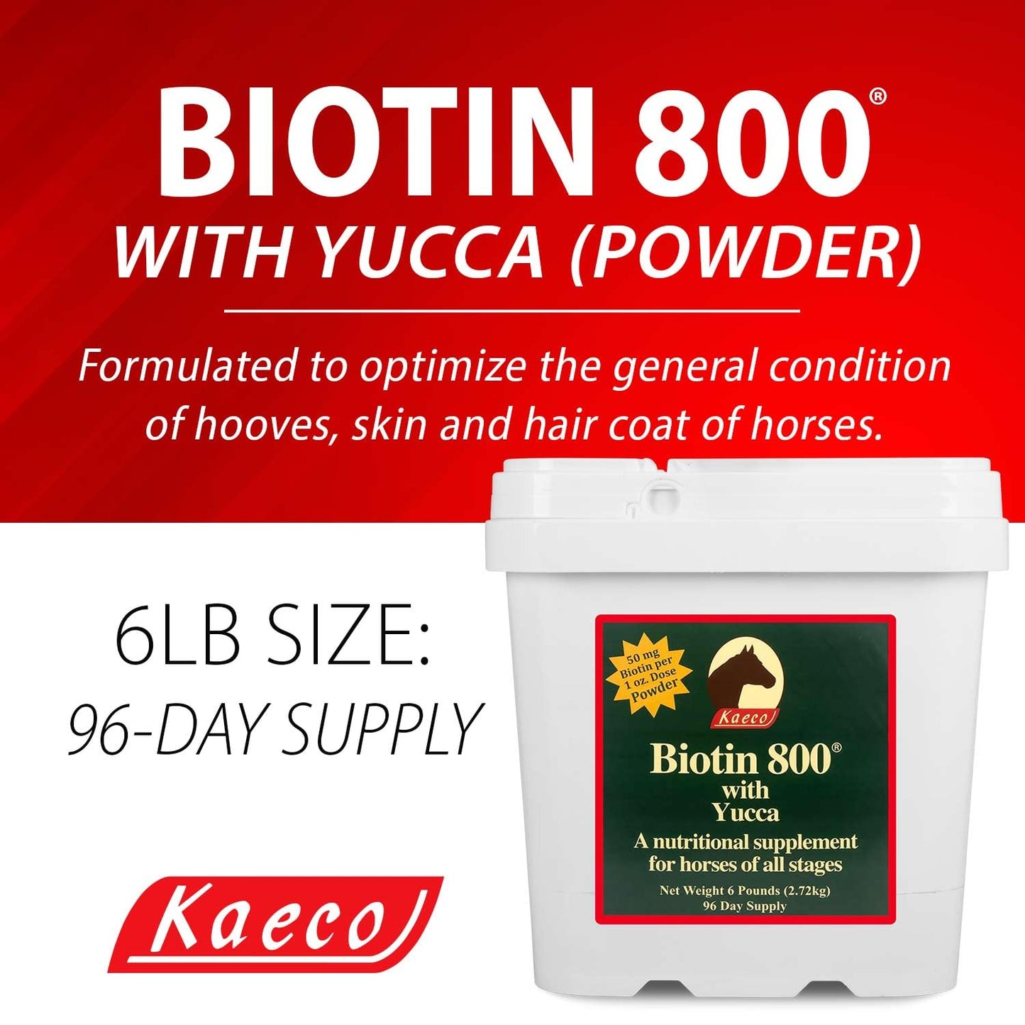 KAECO GROUP INC Biotin 800 Powder, 1 Count