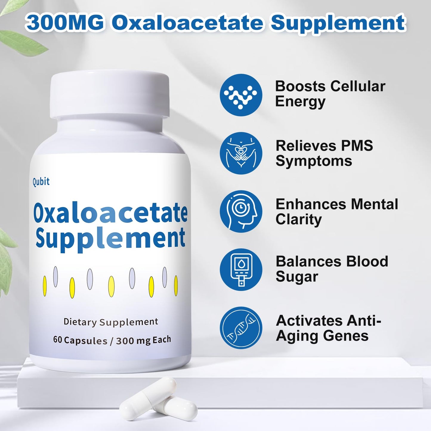 ZOXY Oxaloacetate Supplement – Cellular Energy, Brain & Metabolic Support – with Vitamin C – for Fatigue, Brain Fog, 60 Capsules