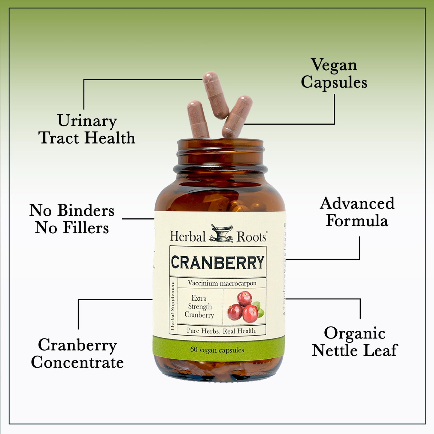 Herbal Roots Cranberry Pills with Organic Nettle Vegan Capsules, 60 Count