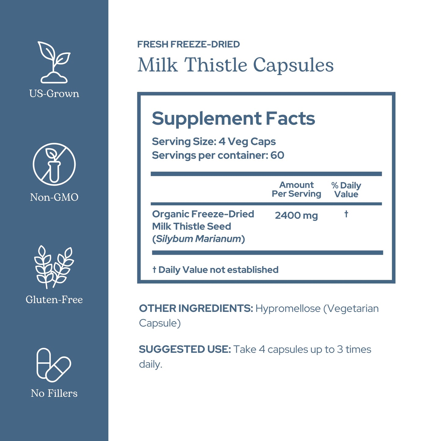 ECLECTIC INSTITUTE Milk Thistle Supplement Capsule 240 Capsules