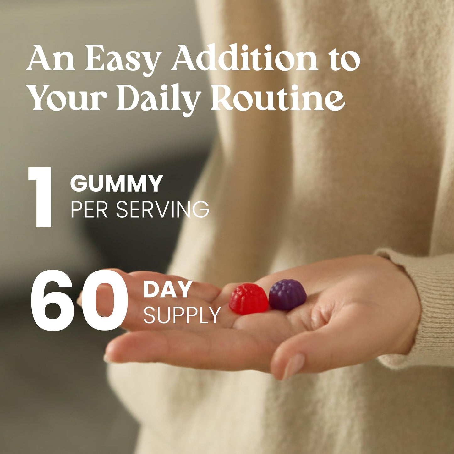 VITA GLOBE Prebiotic Fiber Gummies with FOS Inulin, Sugar Free, Non-GMO, 60 Count