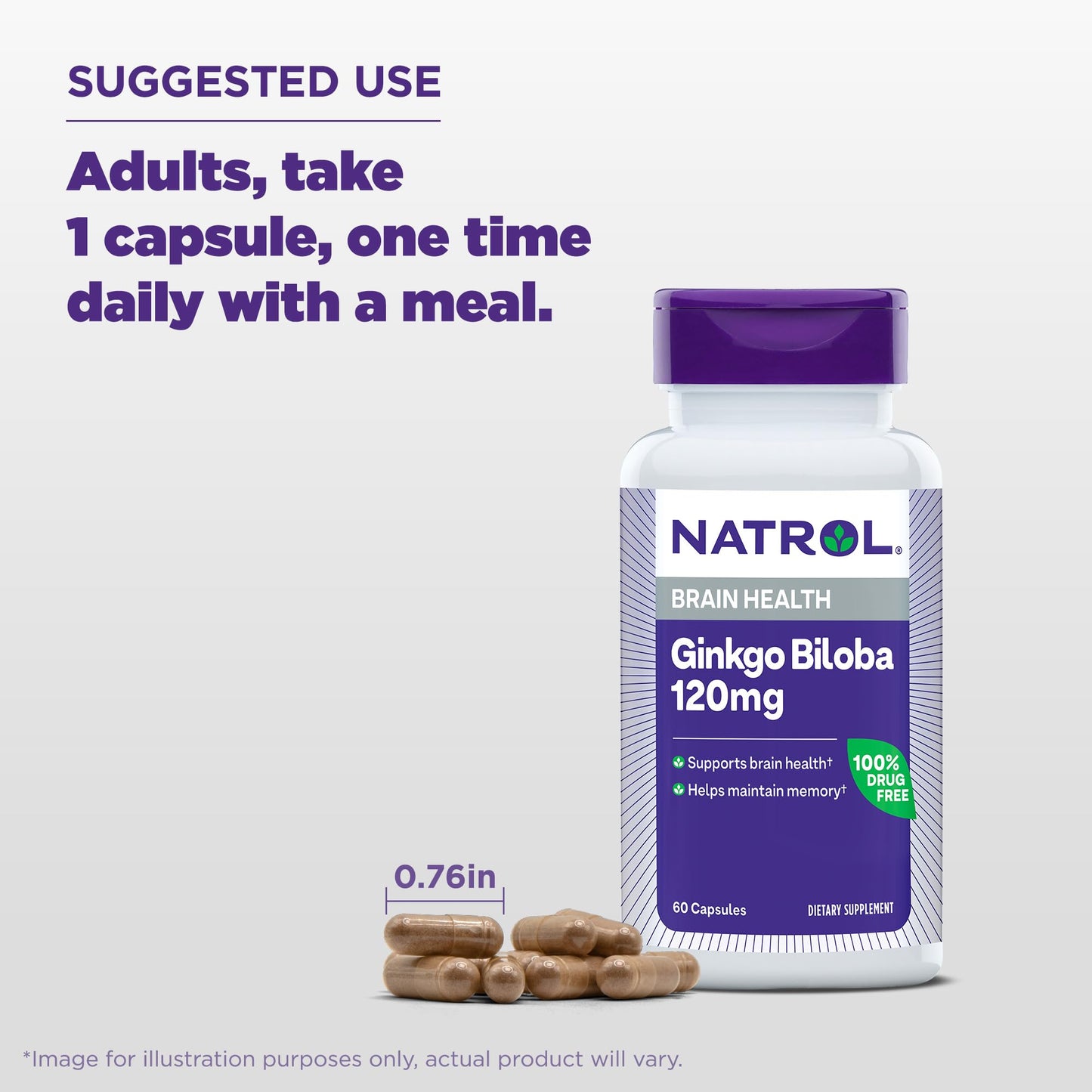 Natrol Ginkgo Biloba 120mg Capsules, 60 Count