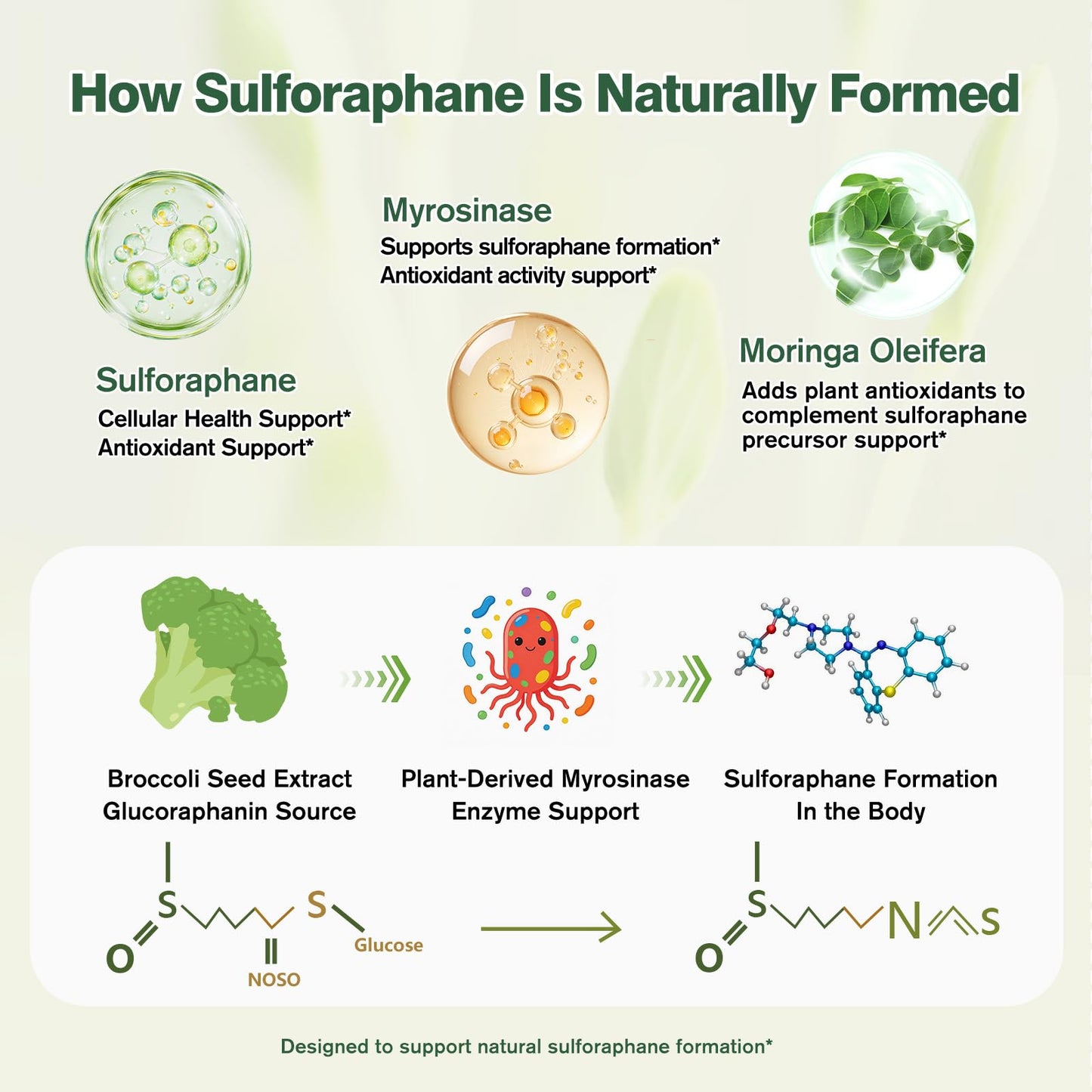 LTTLAODIZ Sulforaphane Supplement from Broccoli, 120 Capsules