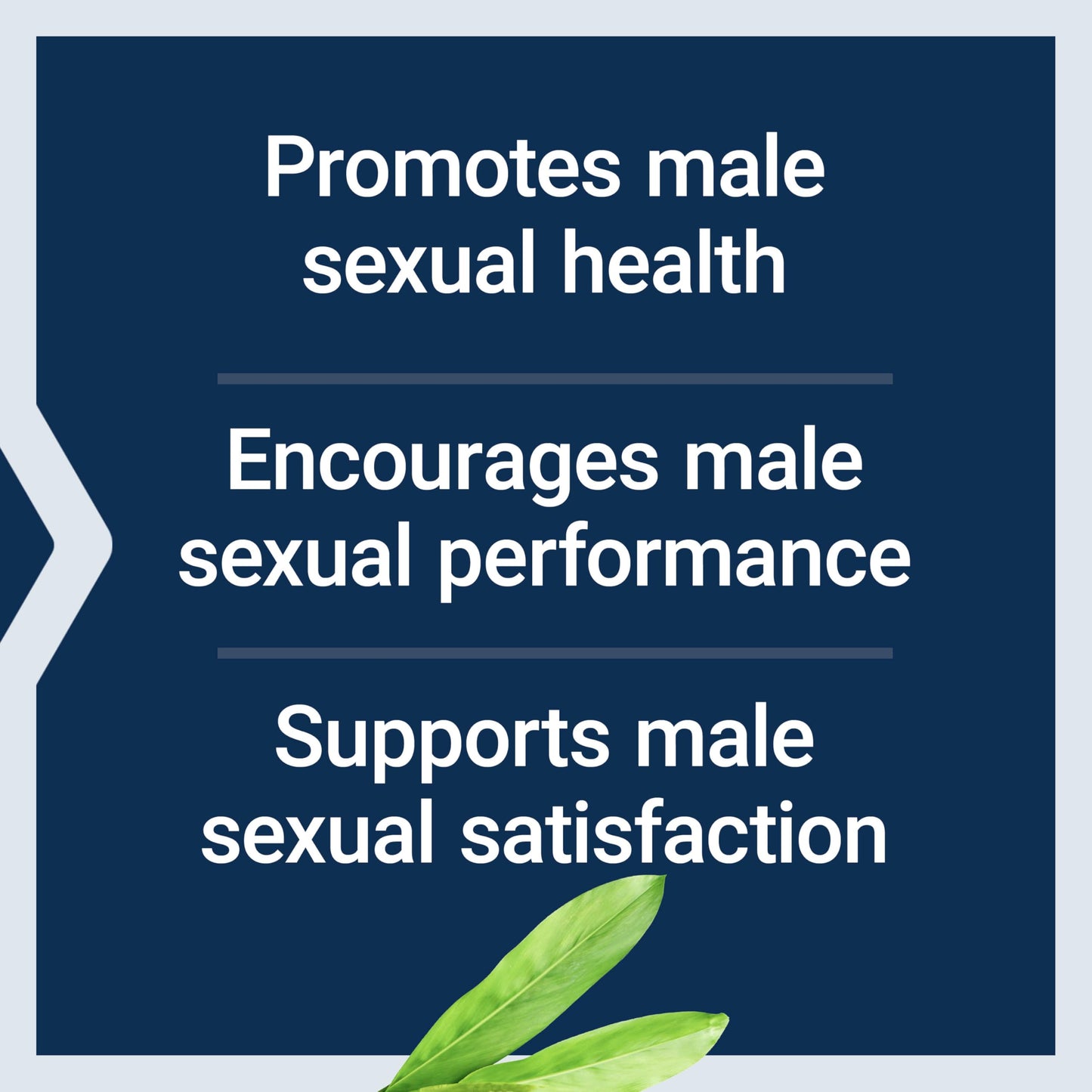 Life Extension Male Vascular Sexual Support Capsules 30