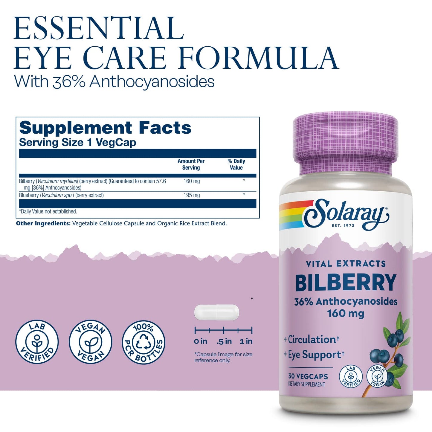 Solaray Bilberry Extract 160 mg Eye Health & Circulation Support, 36% Anthocyanosides Plus Blueberry, Capsules 30