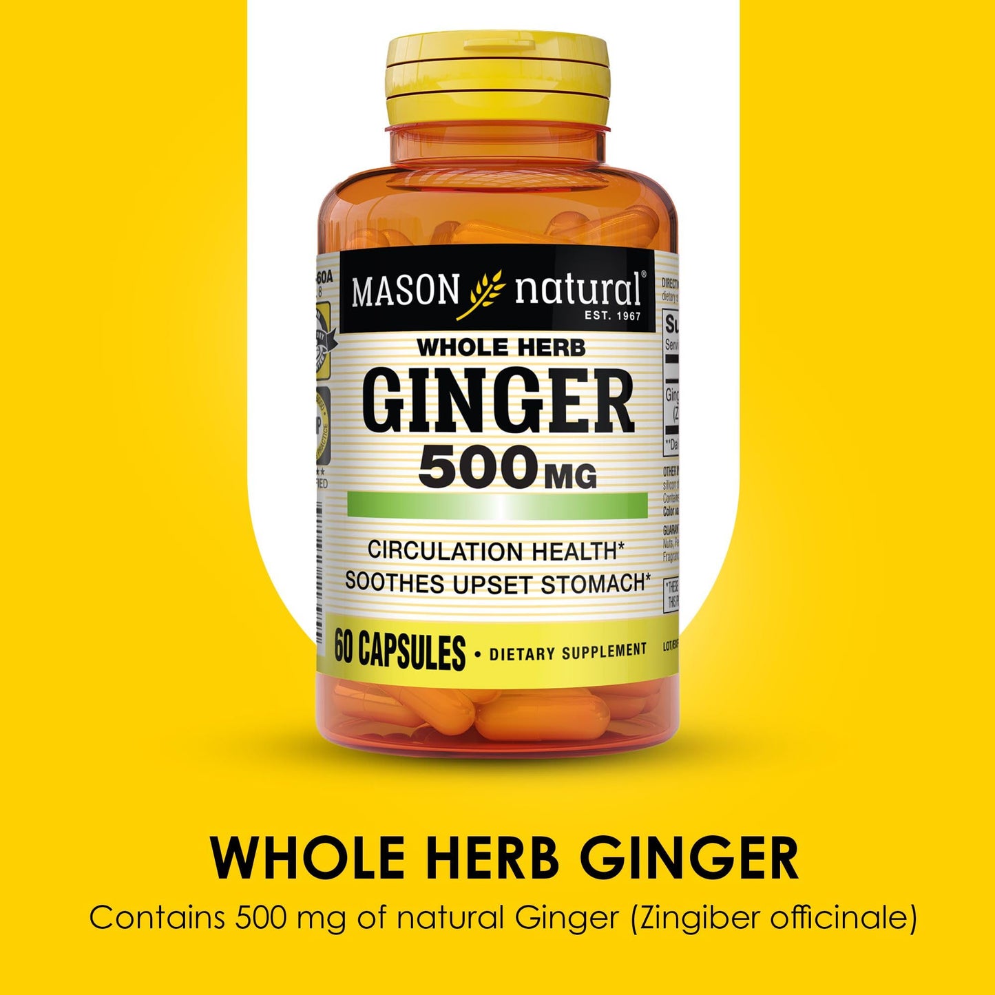 MASON NATURAL Ginger 500 mg Whole Herb, Capsule, 60 Capsules