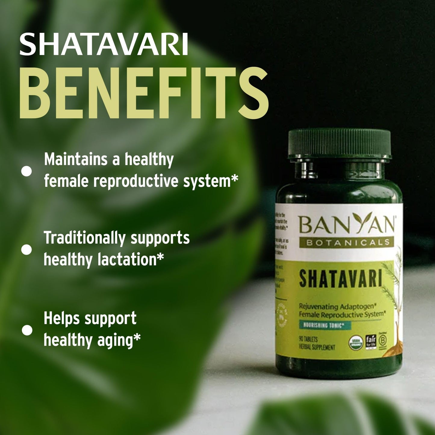 Banyan Botanicals Shatavari Tablets 90 Count