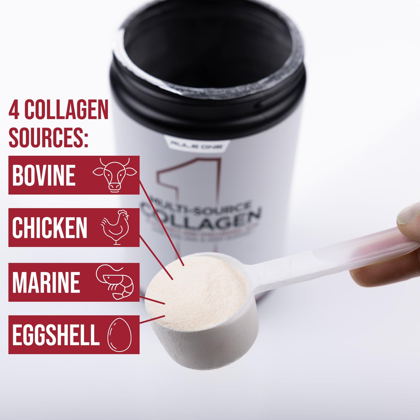 Rule 1 Proteins Multi-Source Collagen Powder, 9.26 Ounces