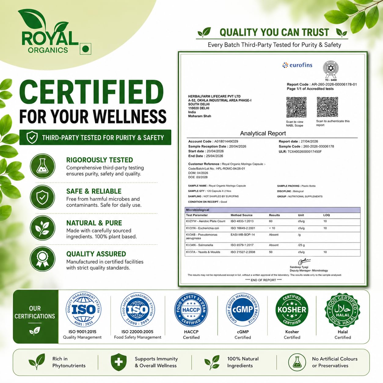 ROYAL ORGANICS Moringa Capsules 500 mg, 10:1 Leaf Extract, 60 Capsules