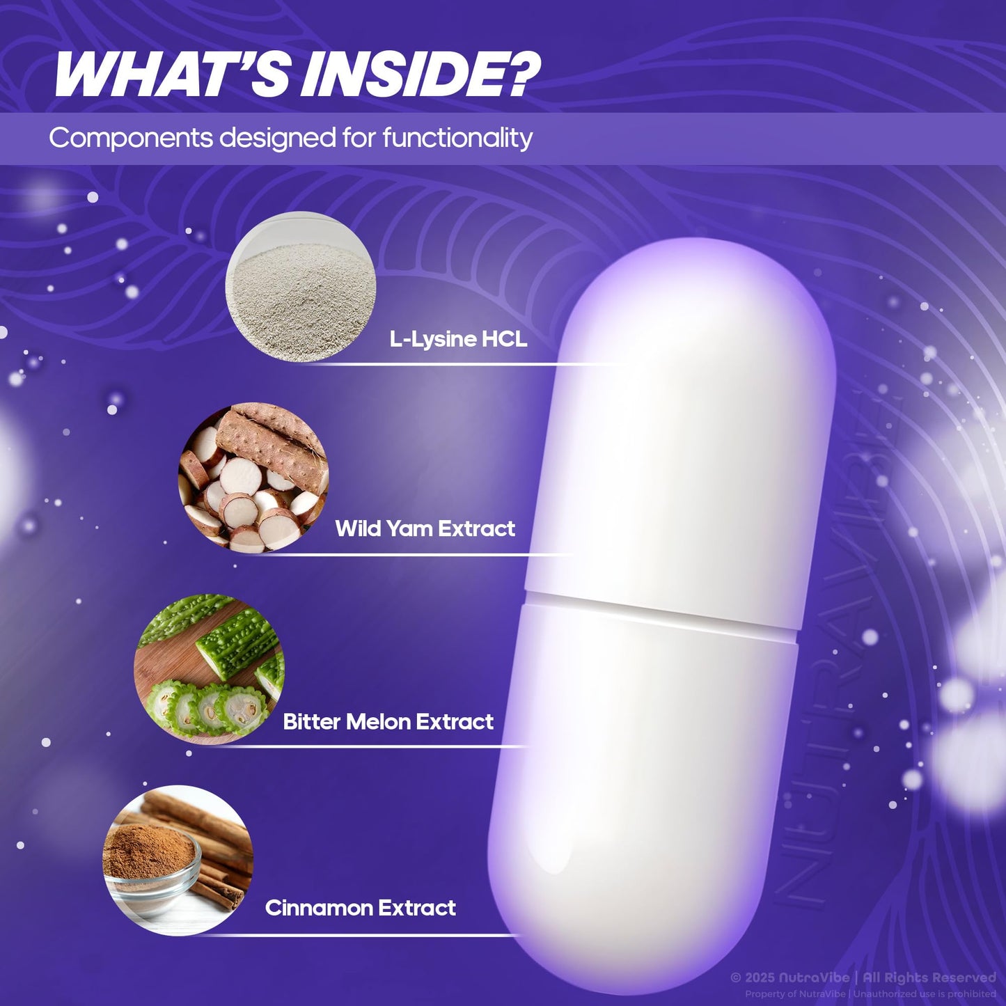NutraVibe MemoVive Brain and Memory Support Capsule, 60 Capsules