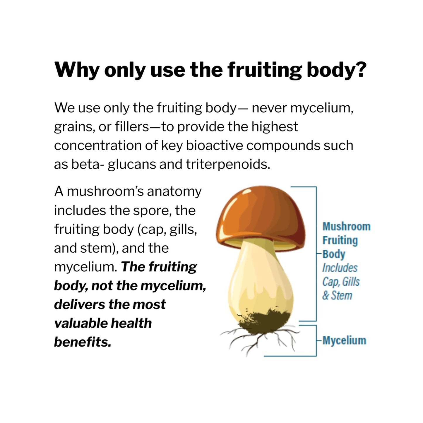 Kyolic Specialty Series Smart Mushrooms+ 60 Capsules