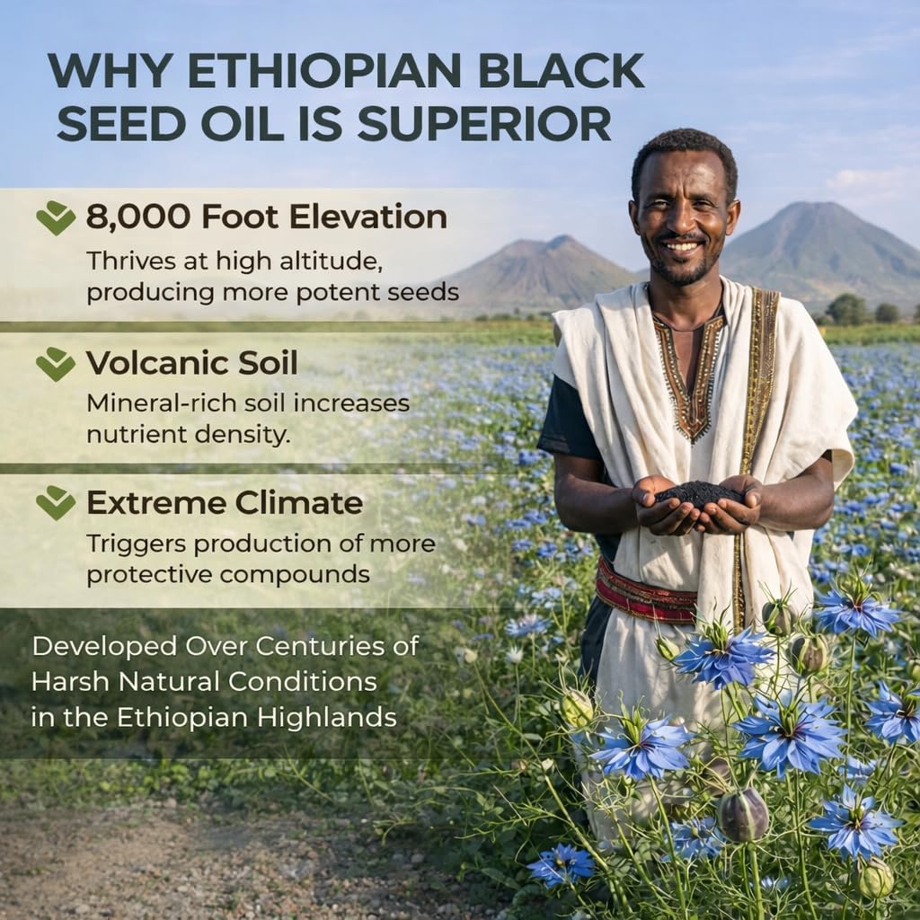 PURELYNUTRIENT Ethiopian Black Seed Oil Softgels, 60 Count