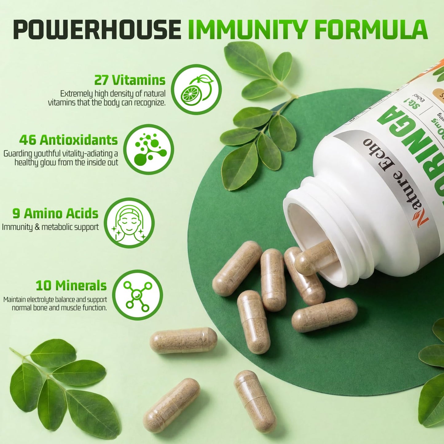 Nature Echo Moringa Oleifera Capsules 50:1 High Potency Extract, 60 Count