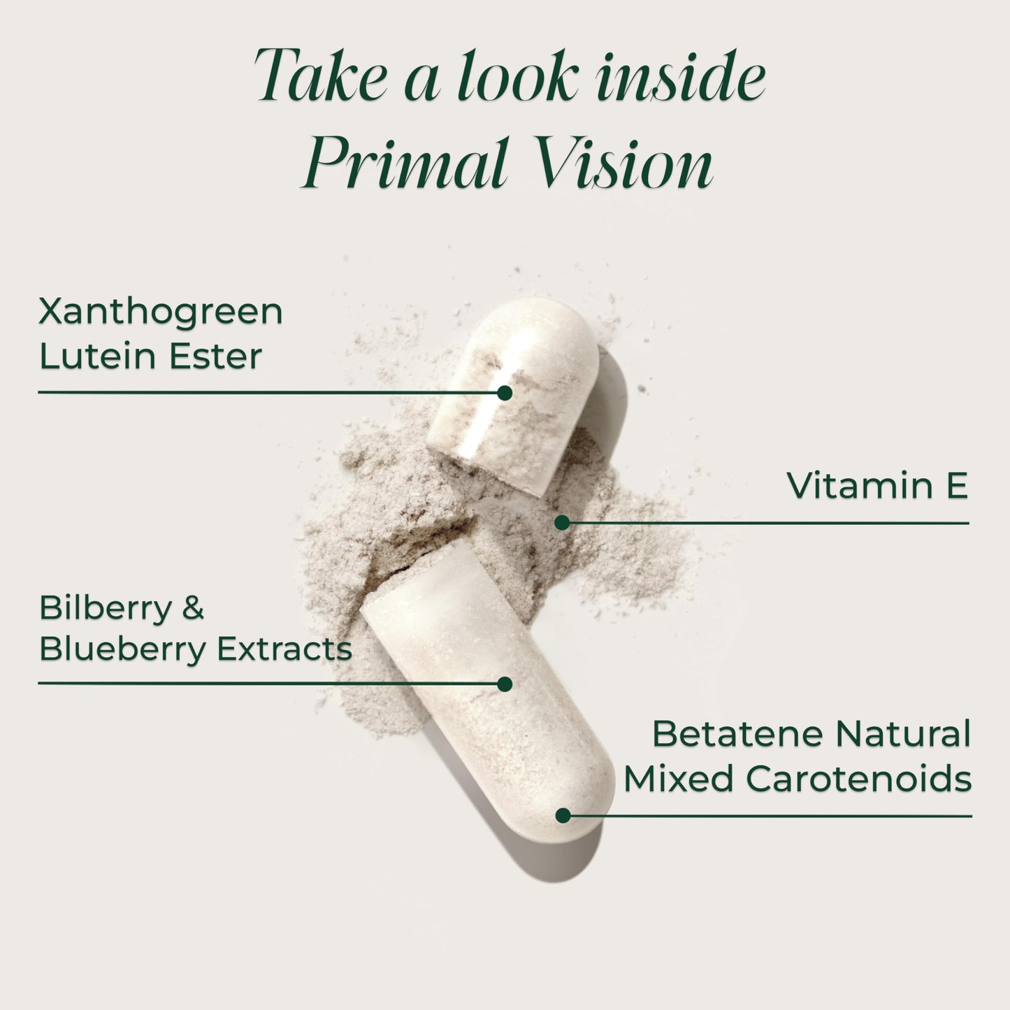 Primal Harvest Vision Capsule 60 Count