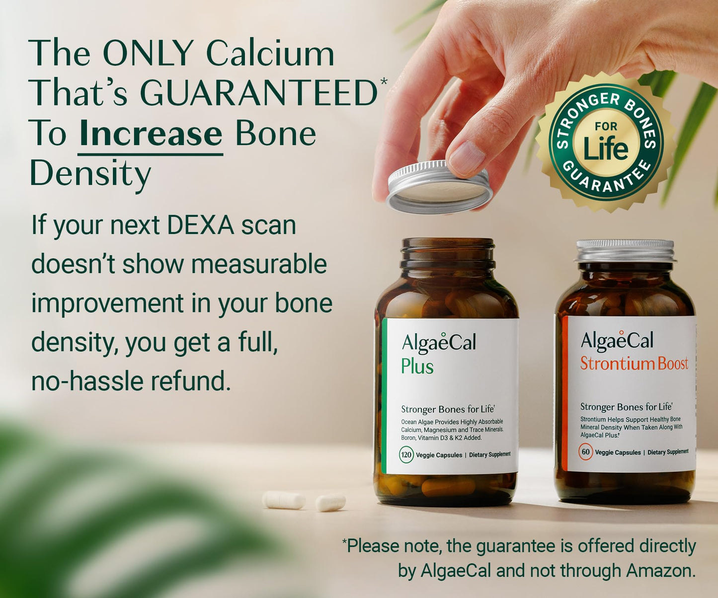 ALGAECAL Bone Health Bundle - D3 Complete (1000 IU) + K2, Vitamin E, Vitamin A & Plant-Based Calcium Clinically Supported to Increase Bone Density, 180 Softgels