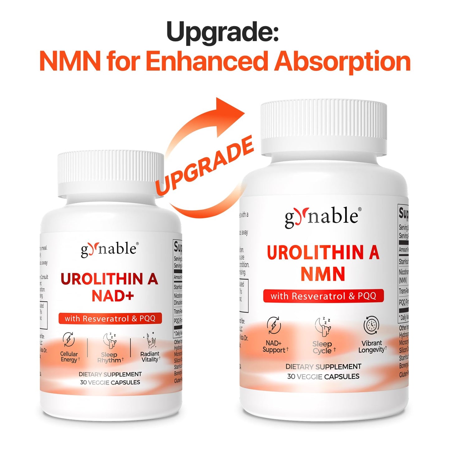 Vevoec Gynable Patented Urolithin A Supplement with NMN, Trans-Resveratrol & PQQ 4-IN-1 Complex Cellular Energy & Muscle Strength Longevity Supplement Capsules, 30 Count